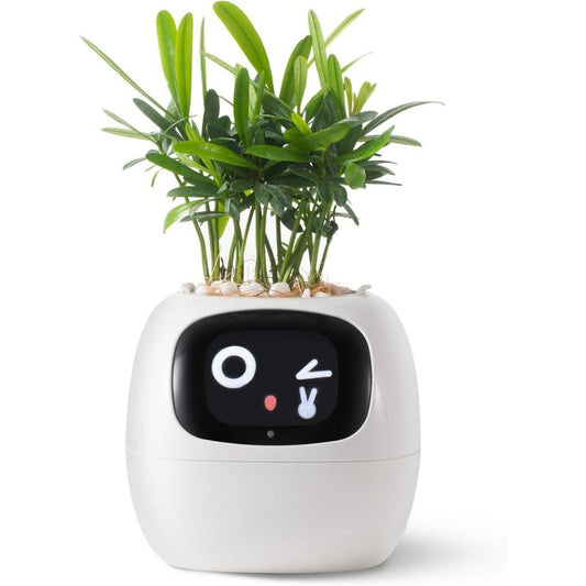 Ivy Smart Plant Pot